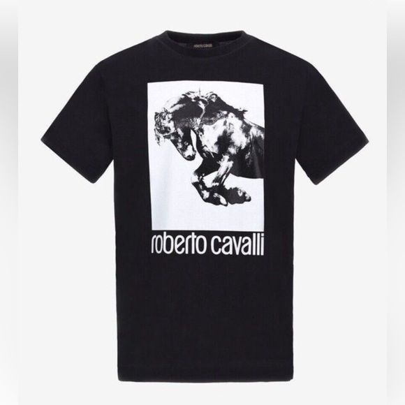 Roberto Cavalli T-shirt with Horse logo and print designer equestrian logo - Picture 10 of 11